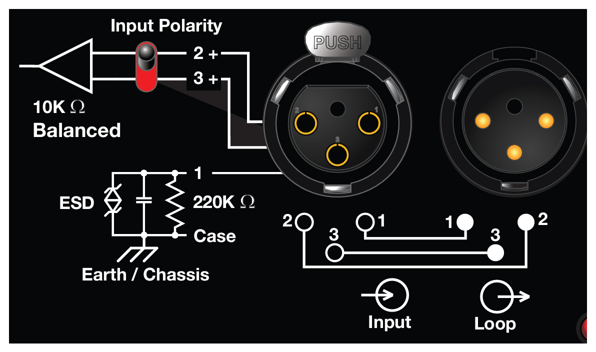 x-800c-audio-connectors-input-loop-output.jpg